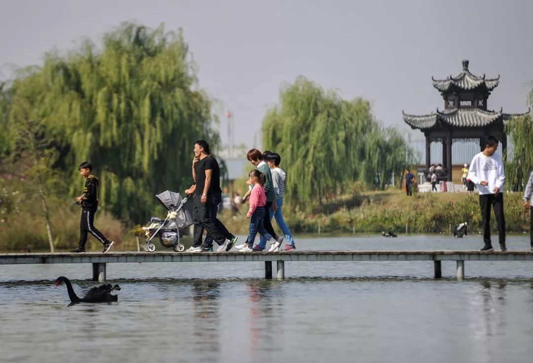 臺兒莊雙龍湖觀鳥園古城後花園生態溼地百鳥天堂