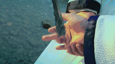 天下武功,唯快不破飞刀派20*图片来源网络      优越地段>>>>>>多重