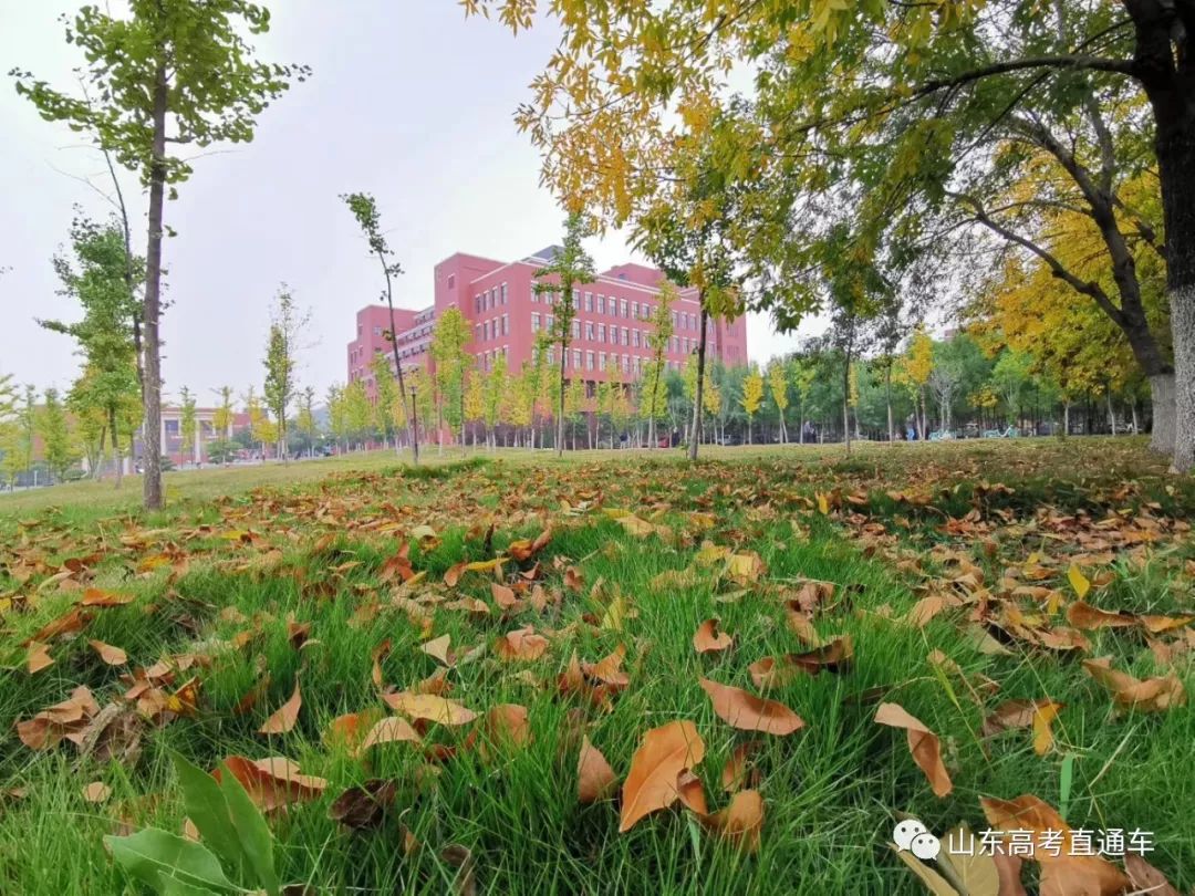 山东第一医科大学泰安校区.