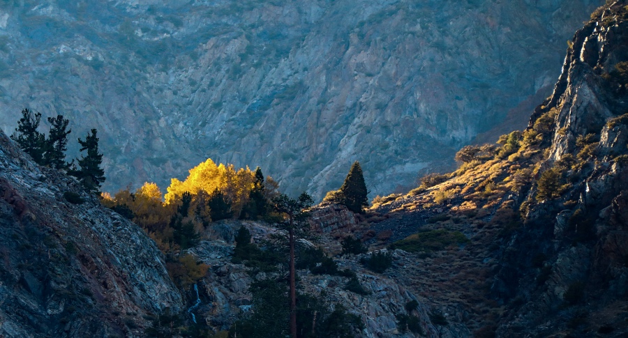 中国家电业下半场正式到来:品牌寡头化渠道碎片化消费多样化-家电圈官网