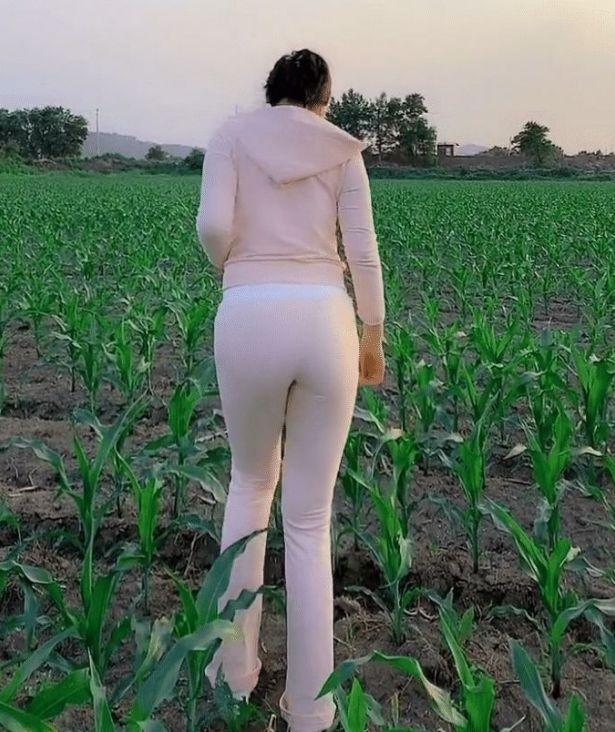 田间小少妇,粉嫩休闲装苞米地里拔草,深藏不漏