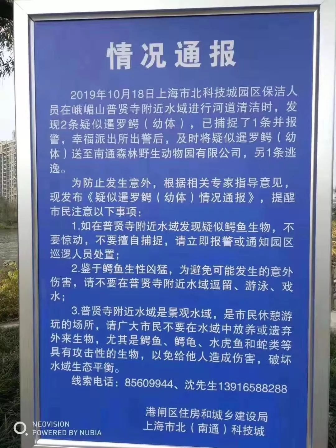 南通相关部门警示:普贤寺附近水域有鳄鱼出没 请注意安全