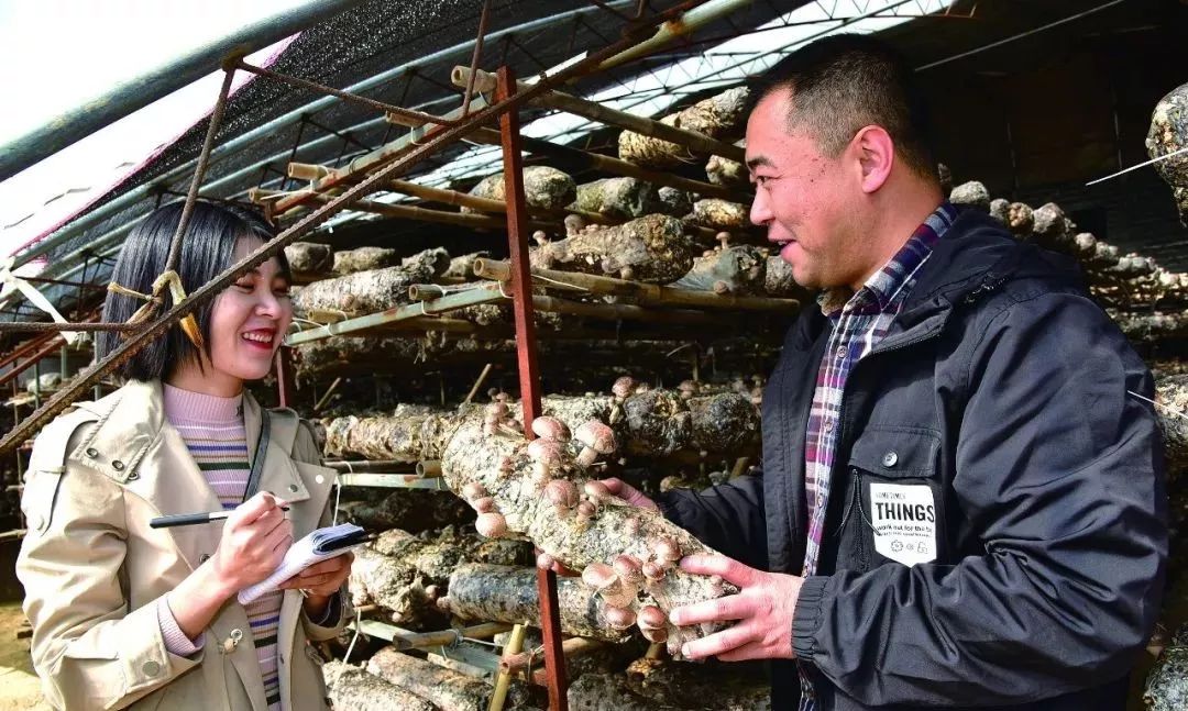 代县聂营镇黑山庄下街村第一书记富振华的先进事迹