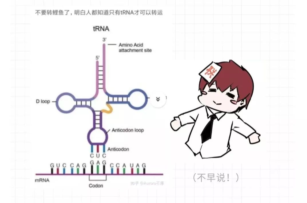 出现一些小习惯// 心理学 //"我赌你的枪里没有子弹"我心理学家燕双鹰