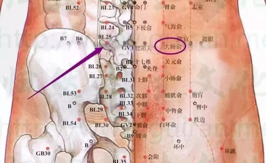 用硬币刮这里,不到3天,五脏六腑的毒素就