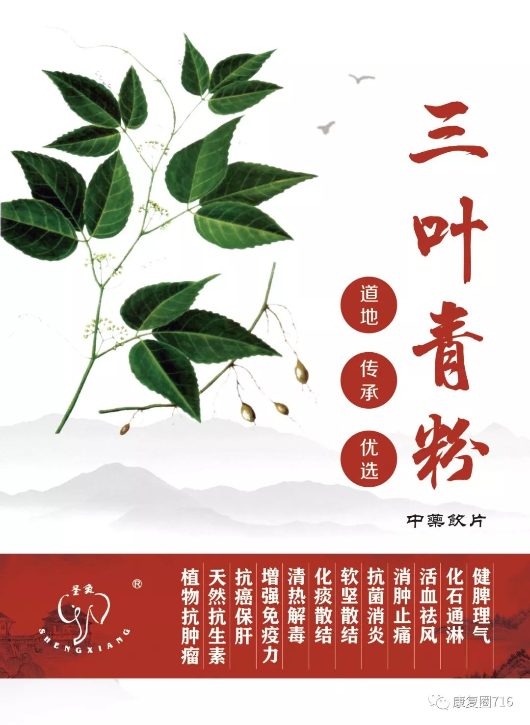 植物抗肿瘤, 天然抗生素——三叶青粉