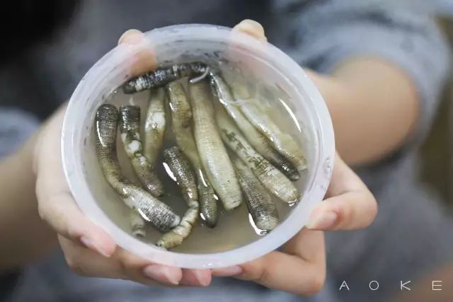 闽南特产土笋冻,主原料是一种蠕虫,属于星虫动物门,学名可口革囊星虫.