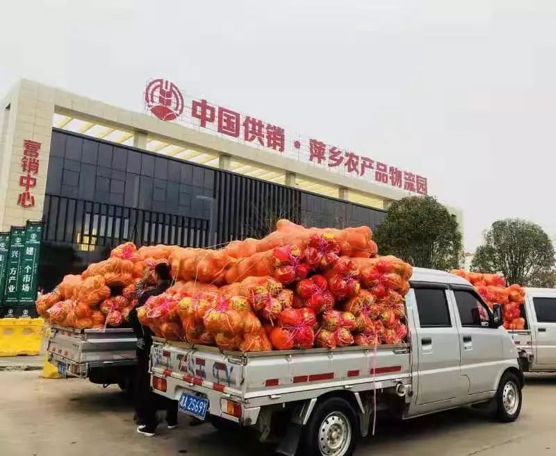 采访团成员实地感受到了中国供销·萍乡农产品物流园将切实为百姓的