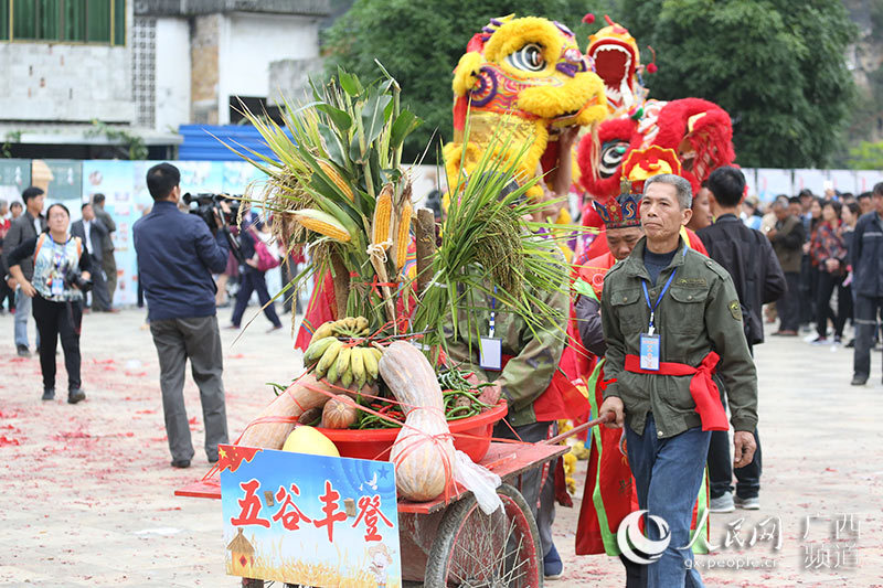 多图直击人类非遗壮族霜降节在广西天等县举行