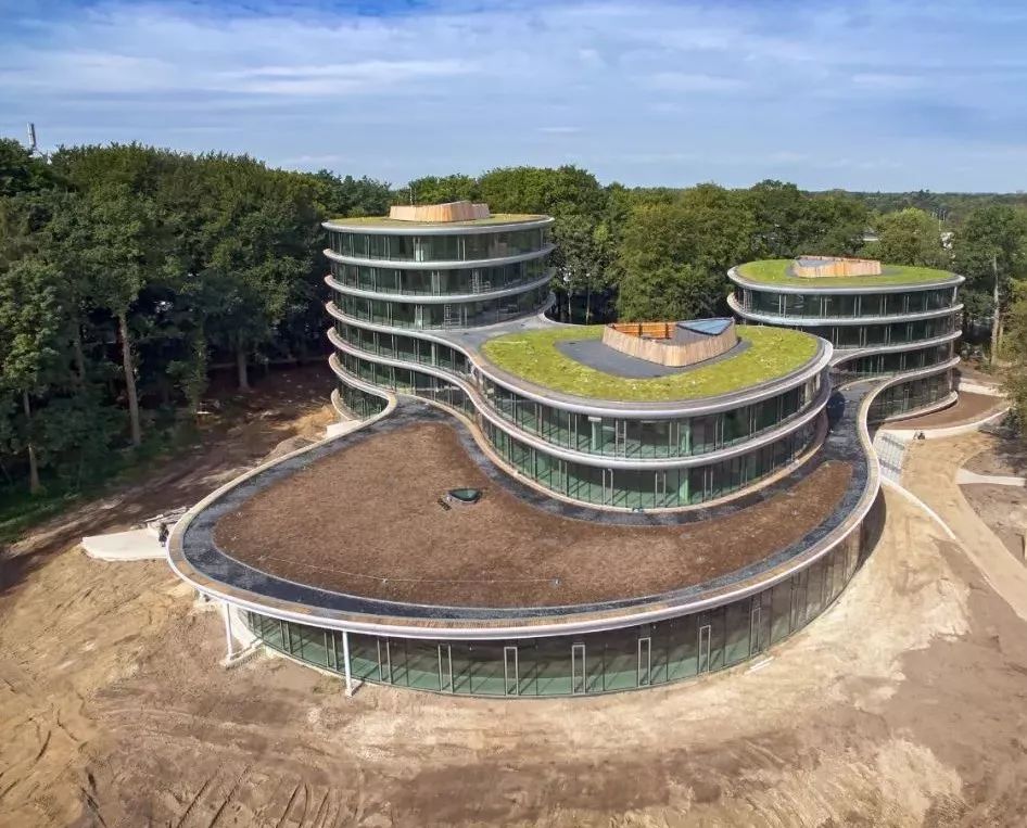 建筑椭圆办公大楼让玻璃亲吻木头