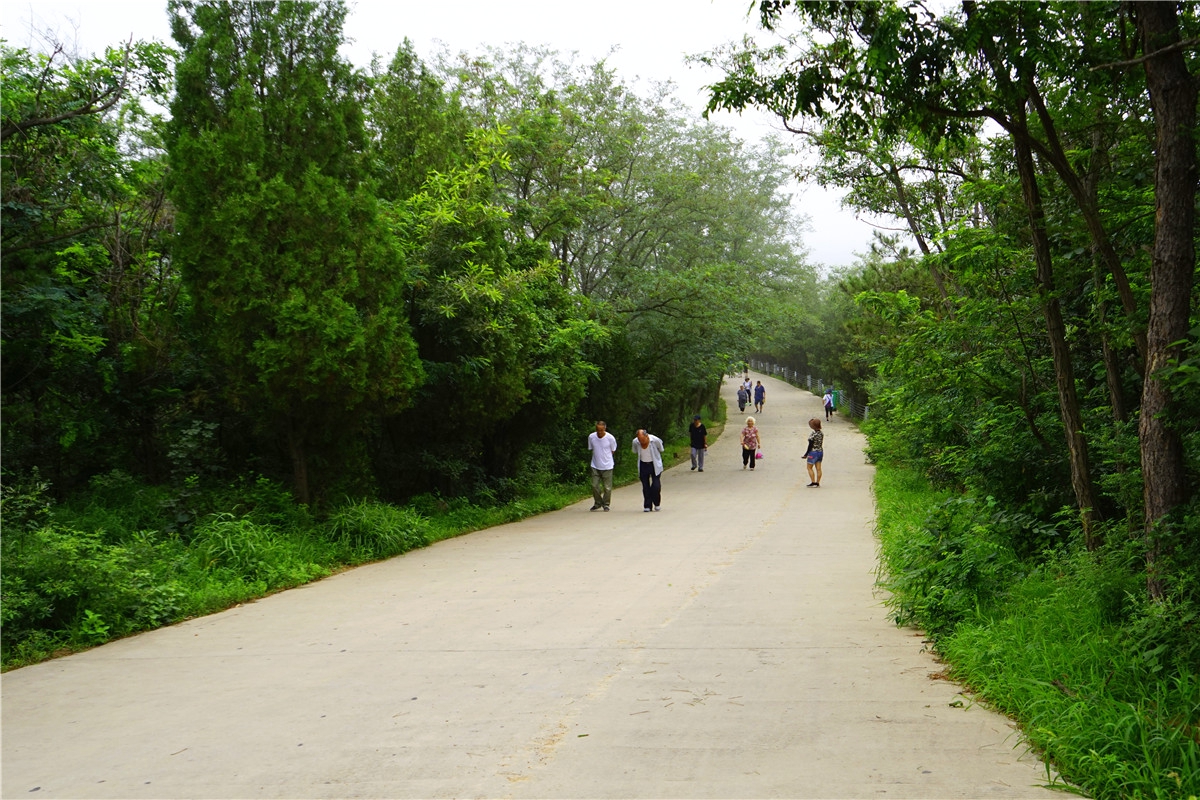 能夠預報天氣的首山國家森林公園