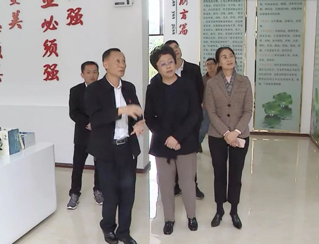 深入东兴区高梁镇八仙桥村,杨岭村调研,近日,市委副书记,市长郑莉主题