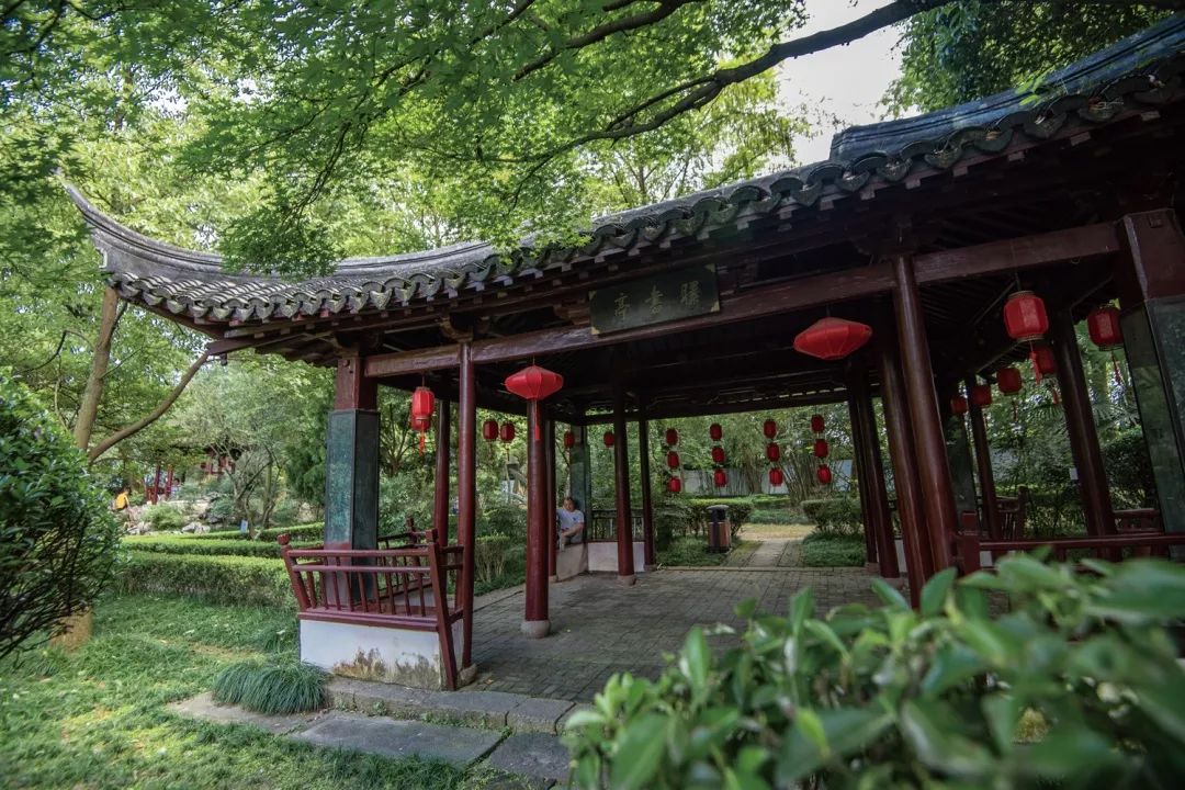 惊艳!"秀洲八景"正式发布