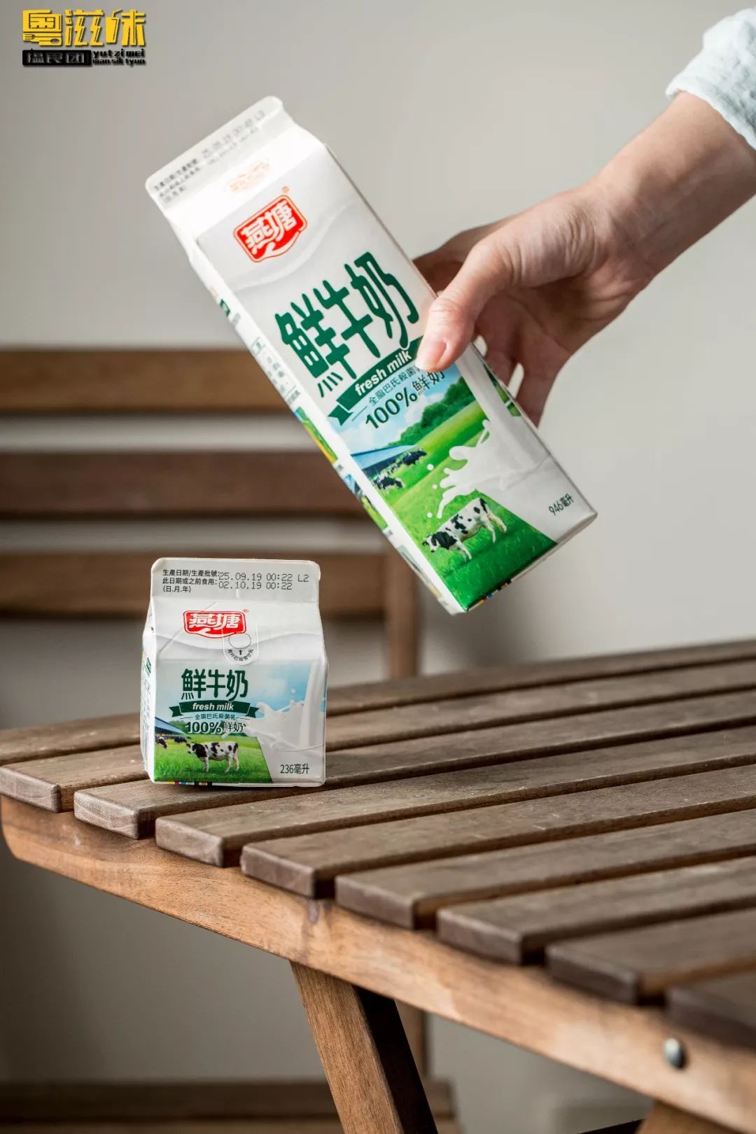 抢占鲜机这个广东人爱了63年的燕塘牛奶终于要登陆澳门了