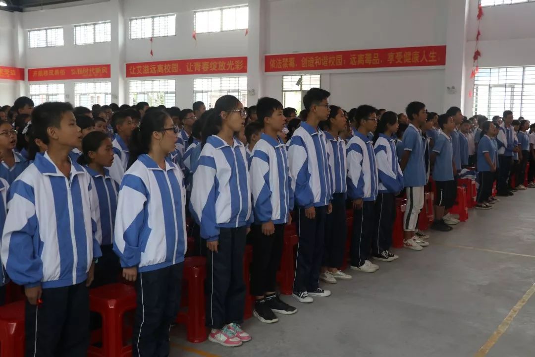 团市委,省新镇团委主办,南安市致和社工事务所,南安市金光中学承办,镇