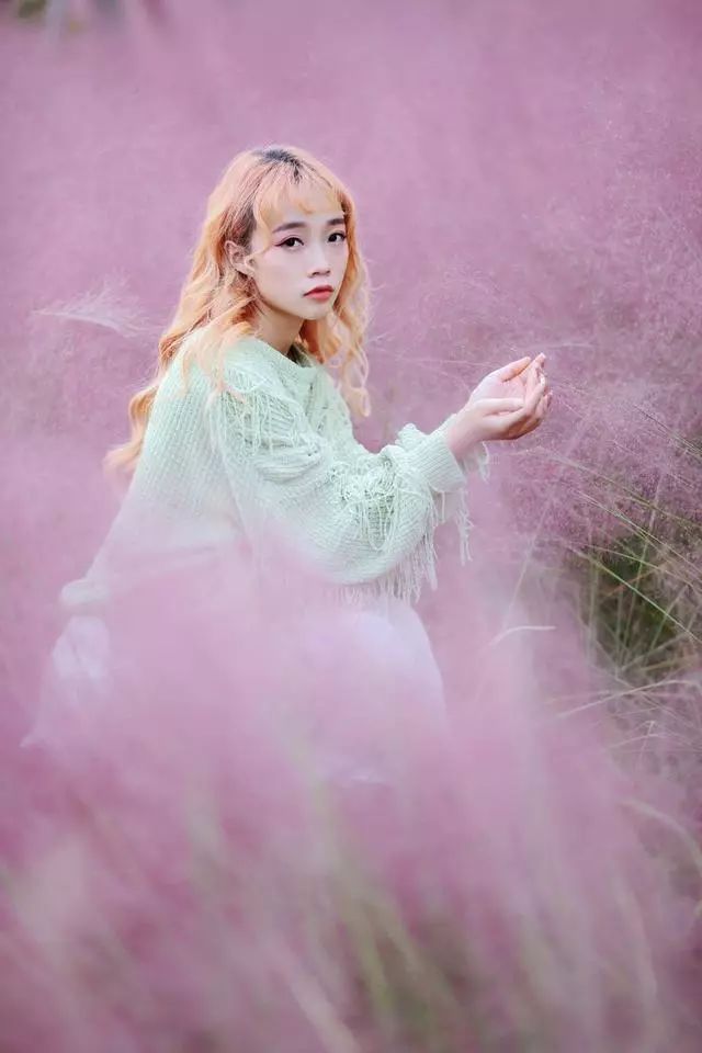 人像摄影:粉黛草丛靓妹子