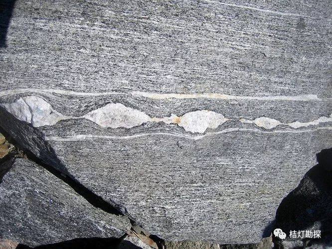 并特别是发育在混合岩化作用较强地区的肠状褶皱一般指发育在区域