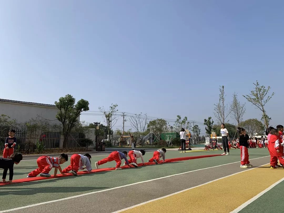 省特级教师朱静怡走进黄宅镇中心幼儿园_活动