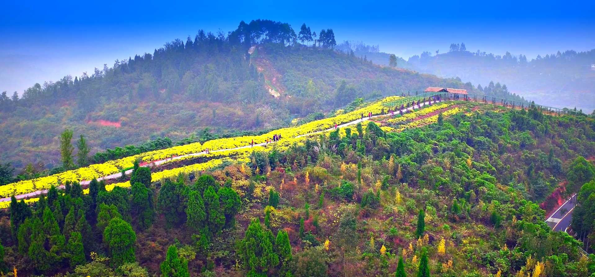 成都玉皇山图片