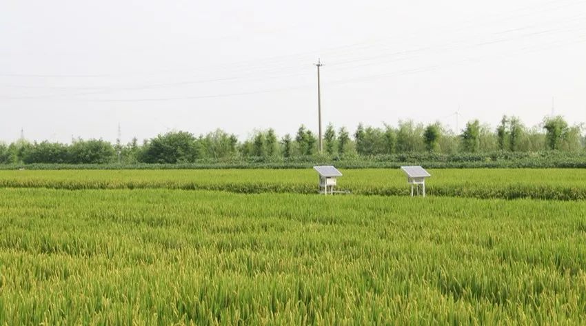 智慧农业上海农场进入一人千亩智能化灌溉新时代