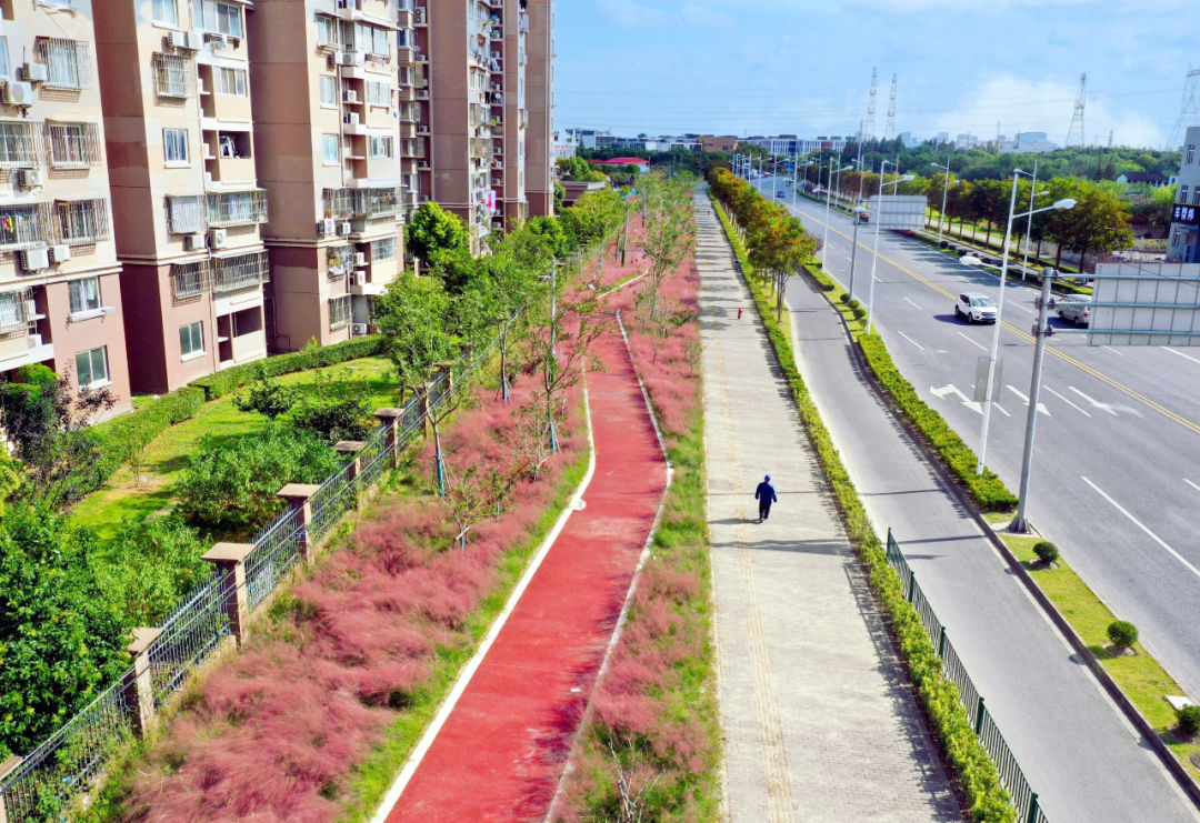 御桥又一大波新景观精现美轮美奂粉黛草街心健身绿地口袋公园趁着周末