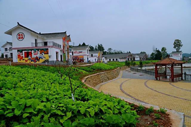 通江县一贫困户:写给镇党委,镇政府的实名信_铁溪镇