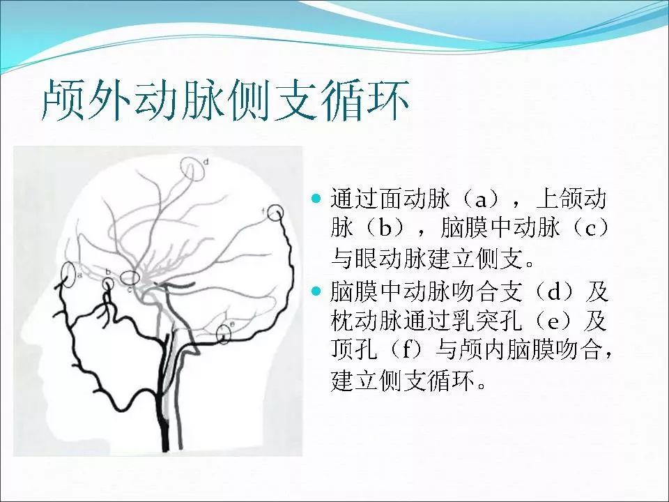 脑侧支循环影像评估及临床意义