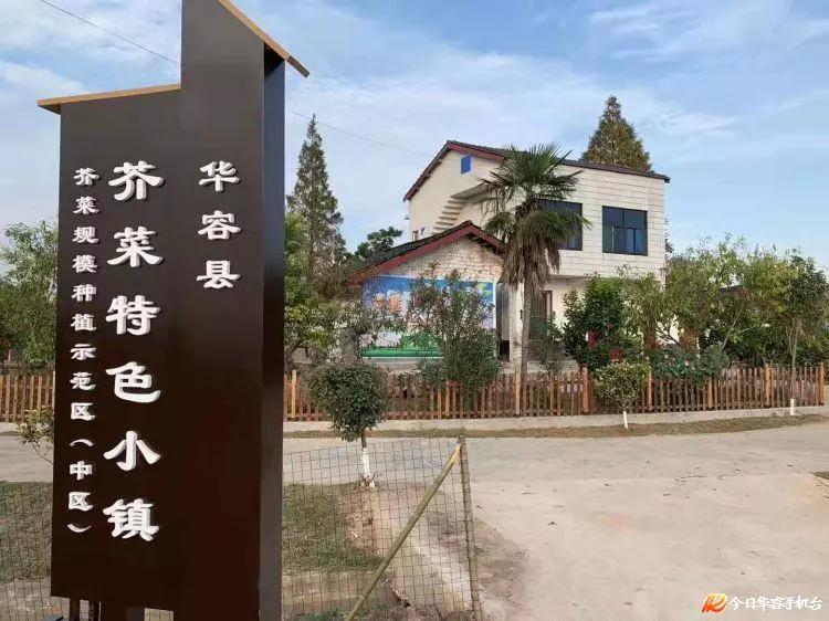 奋进岳阳华容县芥菜小镇三封寺再登湖南日报要闻版