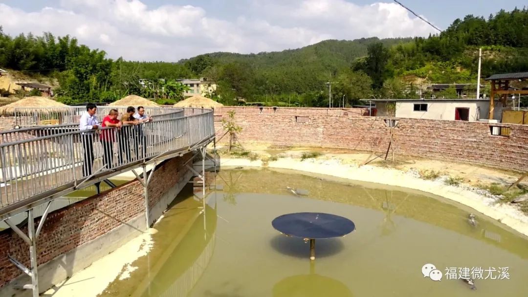 "鳄鱼庄园"落户尤溪!有望元旦前对外开放!