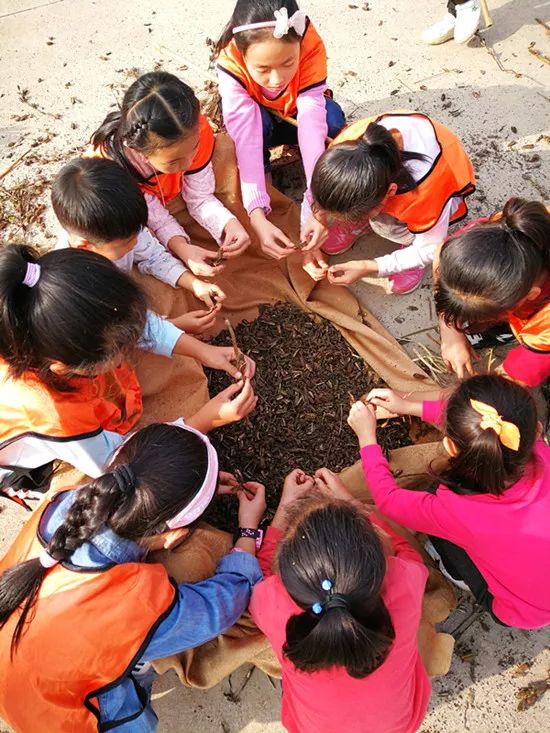 【11月2日亲子活动招募】探秘地质博物馆 户外课堂(打芝麻,喂水牛,鼎