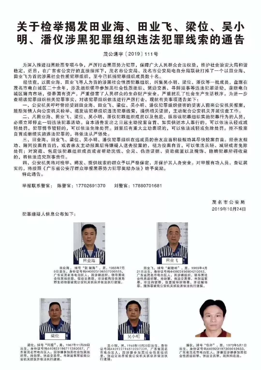 电白扫黑除恶深挖彻查林营田业海等涉黑团伙的罪行彻查保护伞