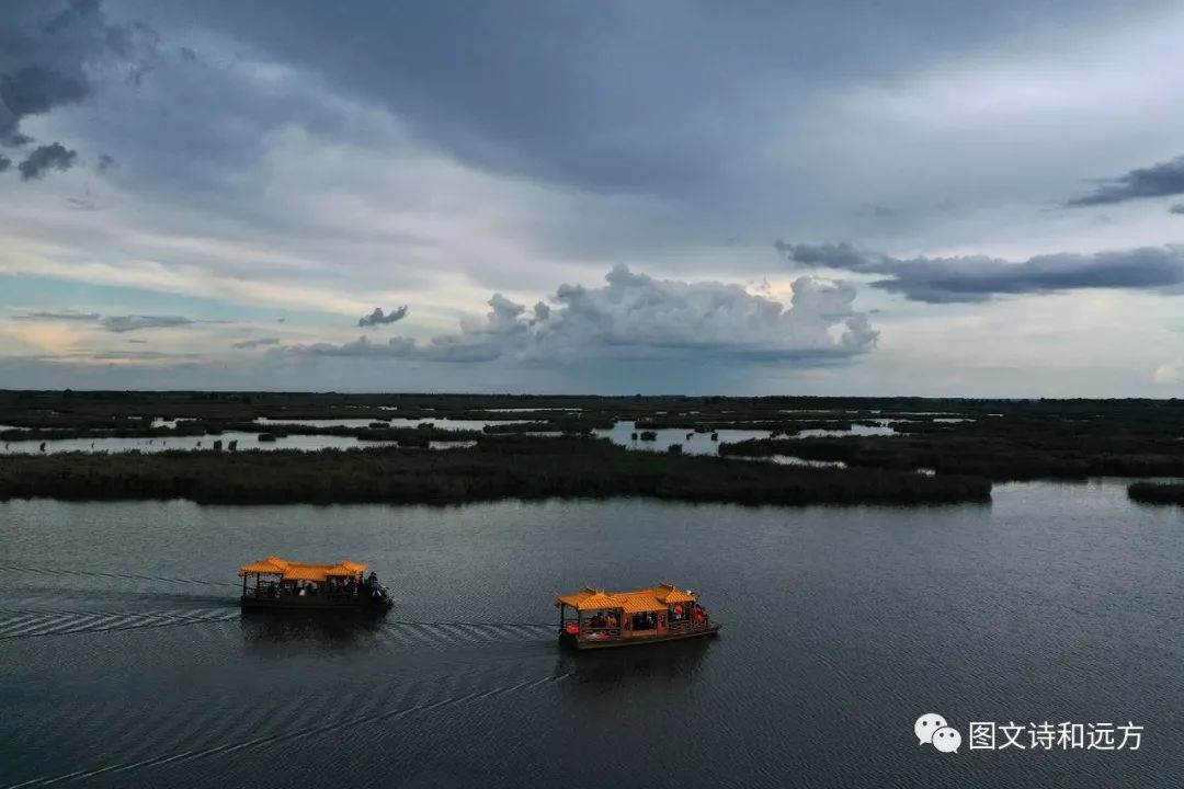 肇东市八里湖湿地公园图片