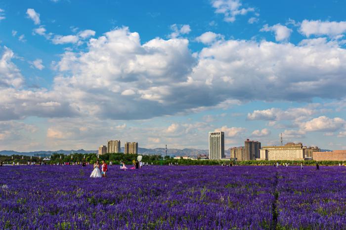 赛汗塔拉生态园又名赛汗塔拉公园