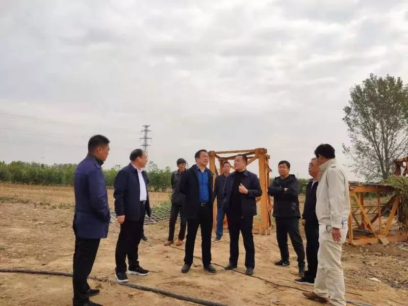 10月26日上午,副县长李炜轻车简从到"群艺馆",涡河花园,滨湖花园,体育