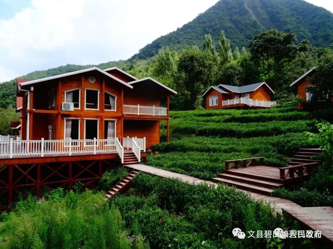 喜讯文县碧口镇荣获甘肃特色气候小镇称号