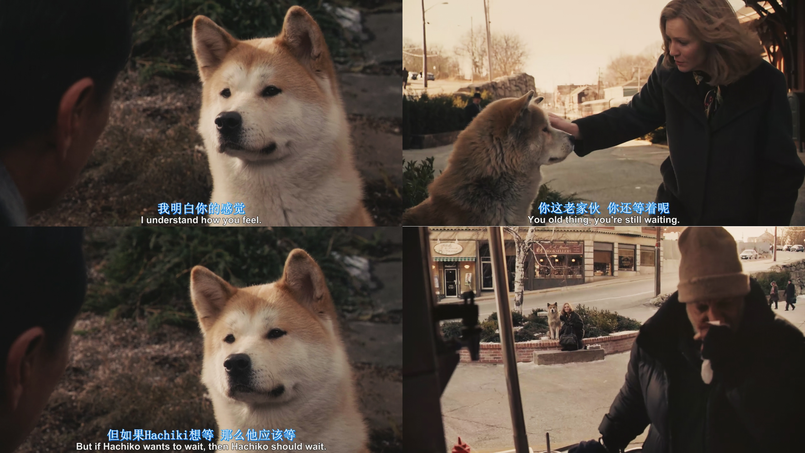 忠八公犬 电影图片