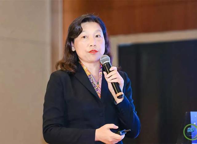 何莲珍高水平中外合作办学一定要具有中国特色