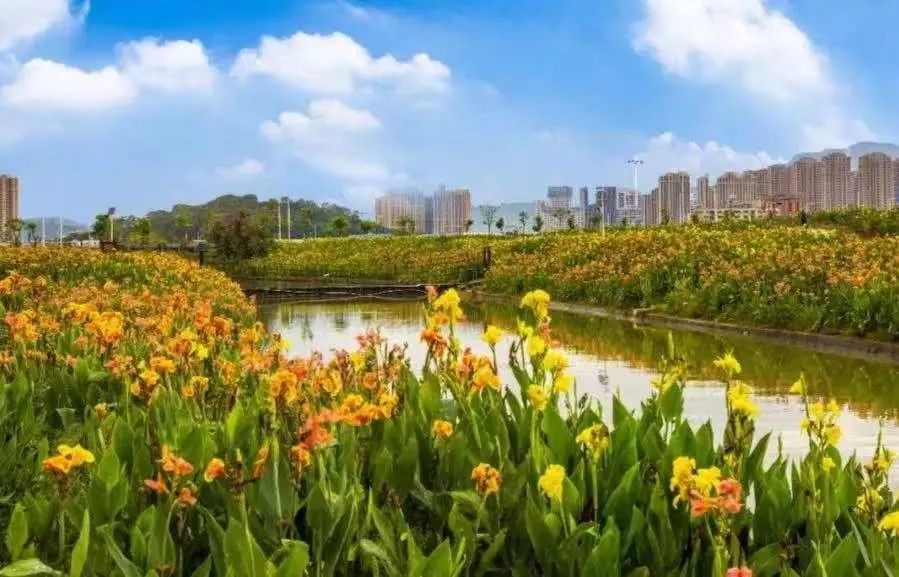 角美湿地公园局部实景可以说,角美新城的配套在满足于居住功能的同时