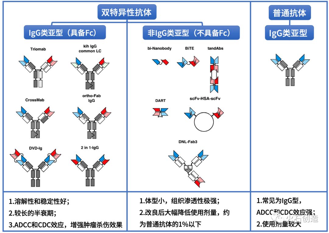 国内外双特异性抗体产业发展现状及趋势上