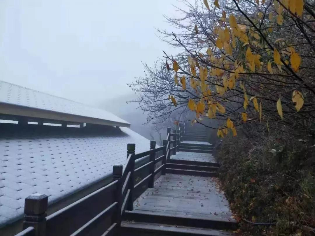 原創光霧山撥動季節調色盤霜降時節巴中迎來今年秋季第一場雪