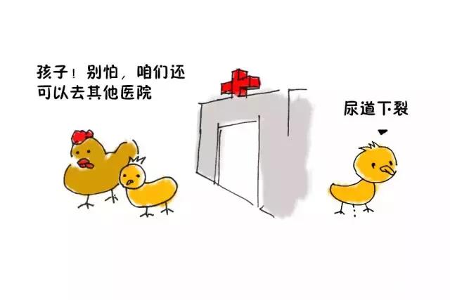 漫画科普为什么尿道下裂需要尽早治疗