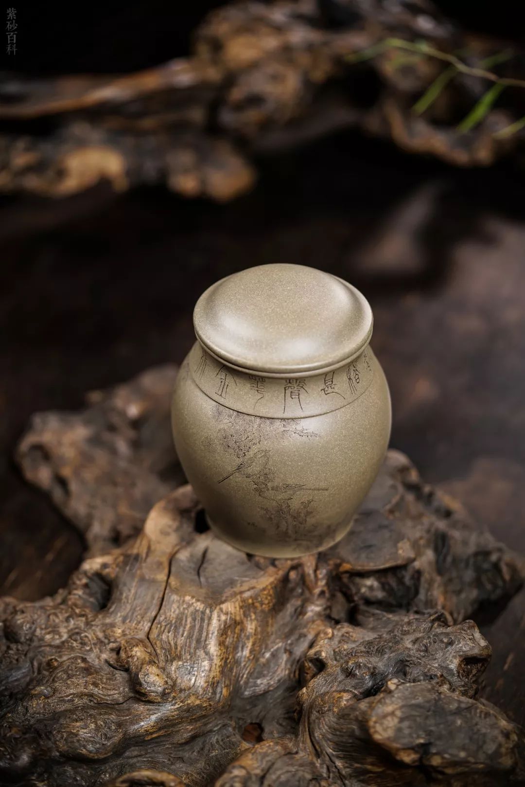 喜舍 · 茶器 | 合香茶罐