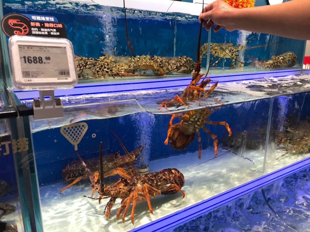 昆明盒马鲜生大悦城店明日开业400余小区变盒区房