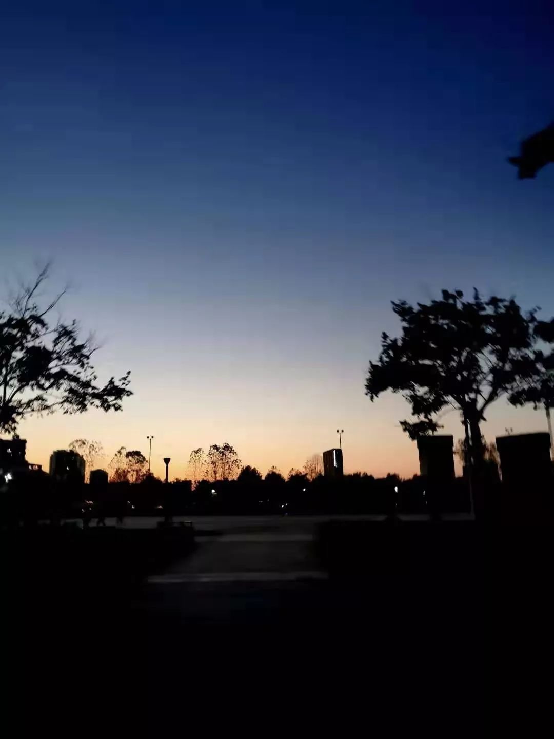 从无谋的梦想开始丨梦想的明灯还在燃烧什么年纪寻找都不算太晚