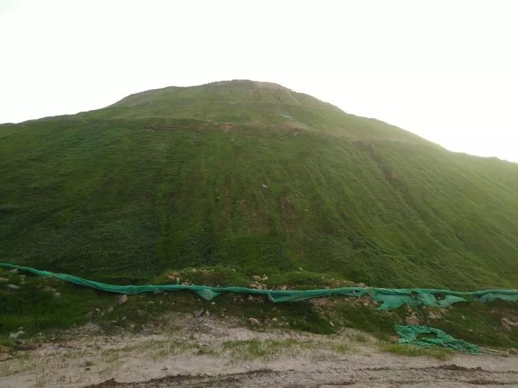 四季常青三季有花峰峰矿区矸石山绿化美景掠影