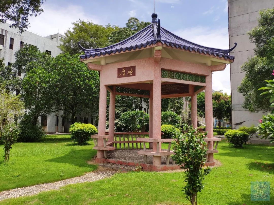 今天开平一中霸屏了好犀利