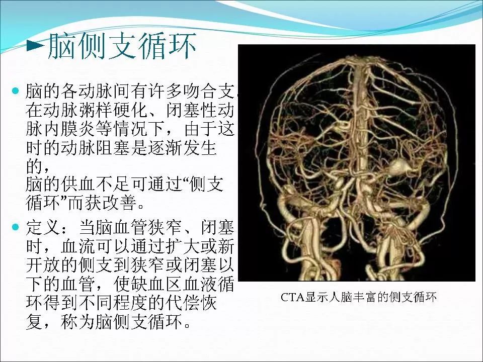 脑侧支循环影像评估及临床意义
