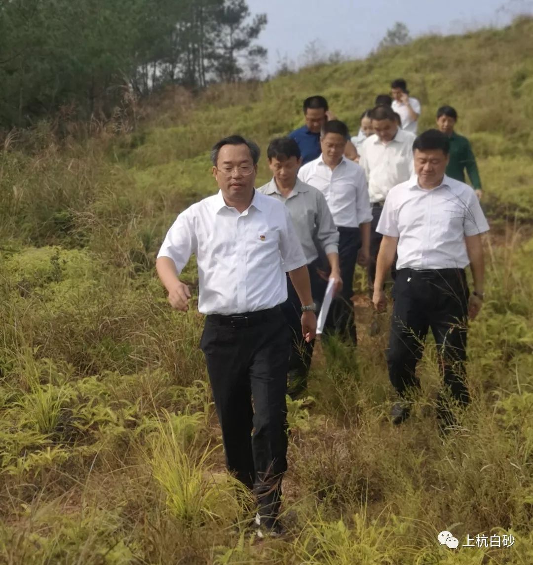 10月25日上午,上杭县委书记傅藏荣,副县长张邓平及县自然资源局,蛟洋