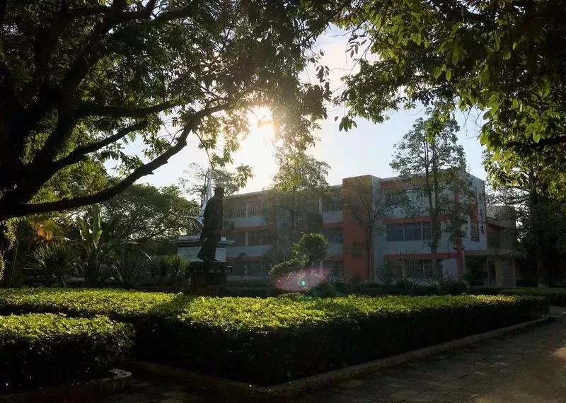 今天开平一中霸屏了好犀利