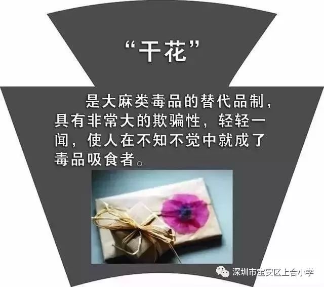 本法所指的毒品,是指鸦片,海洛因,甲基苯丙胺(冰毒,吗啡,大麻,可卡因